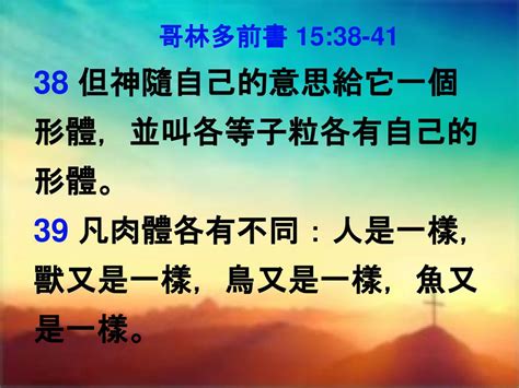 形體意思|形體 的意思、解釋、用法、例句